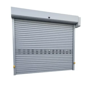 Aluminum Security Insulated Electric Rolling Door for Home