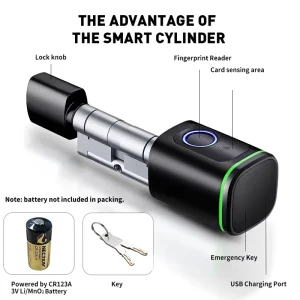 Aluminum Wi-Fi Smart Door Lock with Cloud Storage for Steel Brass and Wood Doors Small Auto Lock