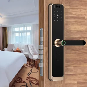 Apartment Smart 3D Face Recognition Access Control Anti-Theft Wooden Door App Fingerprint Password Cloud