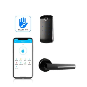 App Card Password Keyless Smart Lock for Wood Steel Aluminum Doors