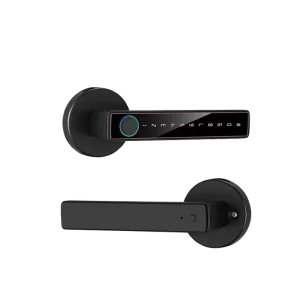BZ03 Biometric Fingerprint Password Electric Stainless Steel Smart Door Lock for Wood and Steel Doors