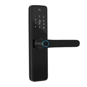 Battery-Powered House Entrance Door with Smart Lock and Camera
