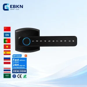 Biometric Fingerprint Door Handle Lock Keyless App Remote Control WiFi Smart Door Lock