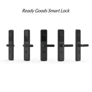 Black Iron and Aluminum Smart Lock Wooden Door