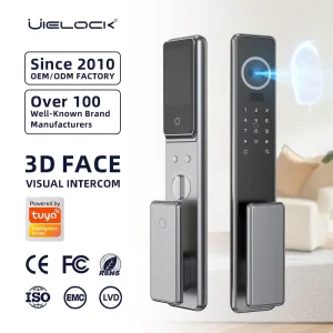C01 Automatic Electronic Mortise RFID IC Card Palm Vein 3D Face Fingerprint Smart Door Lock with Camera