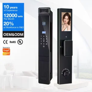 China Factory Direct Selling Smart Electric Digital Password Door Lock Wifi With 3D Face Recognition