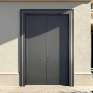 Custom Aluminum Alloy Security Front Pivot Entry Door