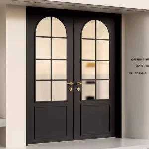 Custom French-Style Aluminum Frame Swing Door with Waterproof Tempered Glass for Commercial Entries