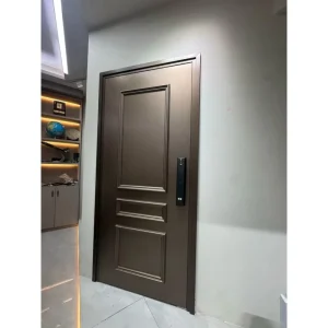 Custom Steel Security Exterior Entry Door with Manual Opening