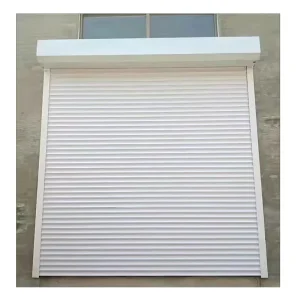 Customizable Material and Color Vertical Lifting Rolling Shutter Door