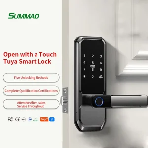 DL30 Aluminum Alloy Smart Door Lock for Wooden Doors with Fingerprint, Remote Unlock, Password, WiFi, Cloud Storage