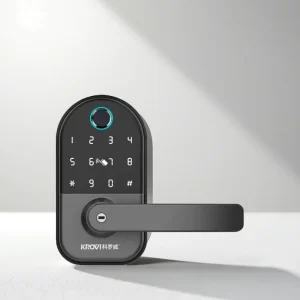 DS02 CE FCC RoHS Fingerprint Password Card Electronic Smart Door Lock with Matter App for Office Wooden Doors
