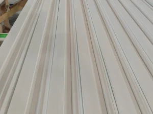 Decorative White Primed Wood Door Casing