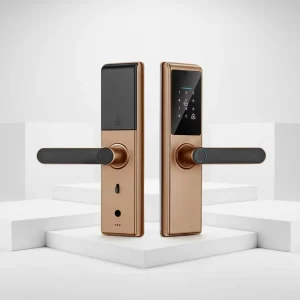 Digital Door Lock Tuya WiFi TTlock Code Biometric Fingerprint Card Key Smart Lock for Home Apartment