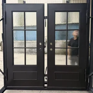 Double Door Gate Design Front Doors for Houses