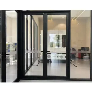 Double-Leaf Aluminum Frame Glass Swing Door for Kitchen and Living Room