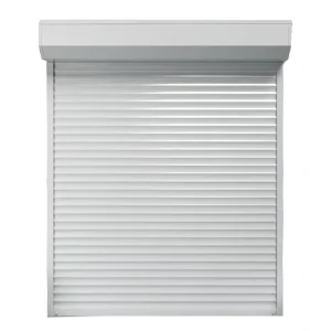 Dustproof Manual and Motorized Aluminum Roll Shutter Door for Apartments and Homes