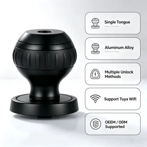E530 Fingerprint Password Card Unlock Smart Door Lock for Wood, Steel, Glass, and Aluminium Alloy Doors with App Control