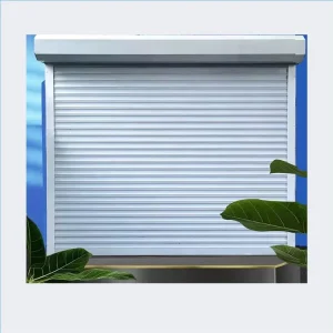 Electric Aluminum Alloy and Steel Glass Garage Roller Shutter Door with Side Frame for Supermarkets