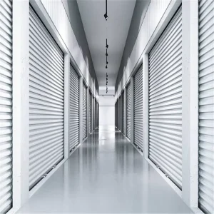 Electric Stainless Steel Finished Windproof Roller Shutter Door for Commercial Use