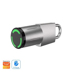 Euro App Smart Card Cylinder Lock IP65 Waterproof Detachable Cylinder Smart Padlock for Stainless Steel Door