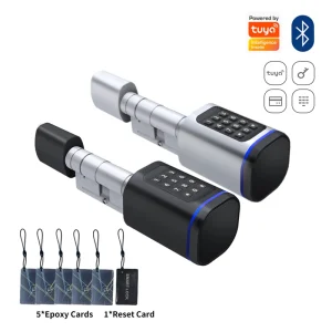 Euro Keyless Electric Aluminum Door with Adjustable Network Access Password Cylinder Lock WiFi Connected Wooden Door
