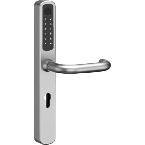 European Stainless Steel Smart Door Lock with App Control, Fingerprint, ID Card, and 200 User Cards for Glass Doors