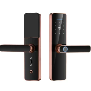 Factory Price S811 Digital Door Lock Tuya WiFi App TTlock App Password Biometric Fingerprint Card Smart Lock