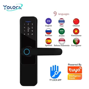 Fingerprint Recognition IC Card Unlock Smart Door Lock with Handle for Brass Doors