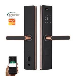 Fingerprint Smart Door Lock with App, Password, Card, Key and WiFi