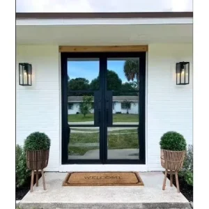 French Black Wrought Iron Steel Glass Swing Front Door and Fiberglass Doors