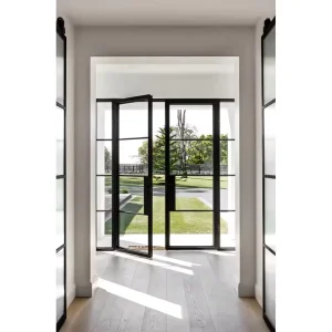 French Black Wrought Iron Swing Steel Glass Saloon Door