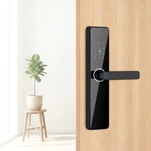 Front Door Smart Deadbolt Lock for American Home, Keyless Hotel Lock, No WiFi, CE FCC
