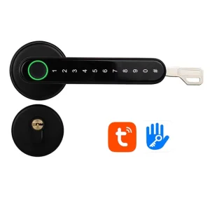 H3 Indoor Smart Keyless Fingerprint Door Lock, 110-Fingerprint Capacity, App, Zinc Alloy