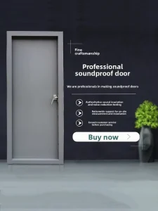 Heavy-Duty Sound Insulation Door for Recording Studios and Drum Rooms