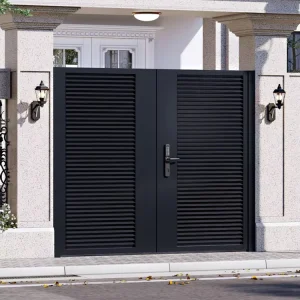 Iron Fence Gate Courtyard Wrought Iron Single Main Door Exterior Gate