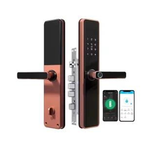 Keyless Aluminum House Entrance Door with Smart Lock, Camera, Zinc Alloy Construction, and Wi-Fi