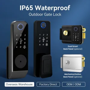 Main Entrance Electric Gate Smart Door Lock Compatible with Alexa and Google Home