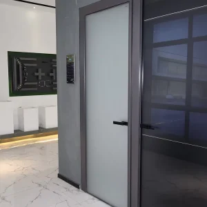 Minimalist Aluminum Swing Door with Frosted Glass Panels, Thermal Insulation, and Soundproofing