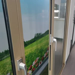 Modern Aluminum Alloy Sliding Glass Door, Exterior Security Entrance for Villas and Commercial Malls