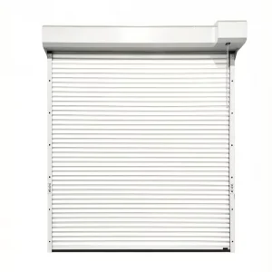 Modern Aluminum Roller Shutter Door 6063 T5 Alloy Corrosion Resistant Electric Side Opening for Warehouse Coastal Area Villa Use