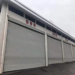 Modern Automatic Stainless Steel Aluminum Alloy Garage Roller Shutter Door with Fire Prevention
