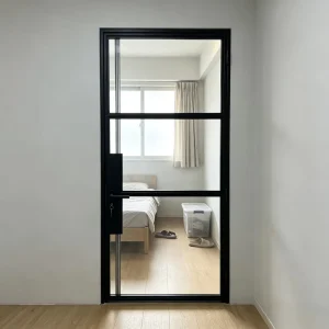 Modern Steel Double Tempered Glass Door, Custom