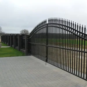 Modern Style Entrance Metal Luxury Courtyard Main Iron Gate Design Home Elegant Iron Gate