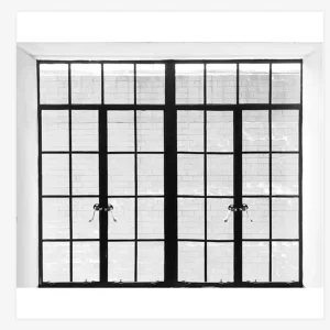 Modern Wrought Iron Single Tempered Glass Door with Transom