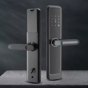 Multi-Country Smart Lock Fingerprint Password Card Key Access for Solid Wood Doors