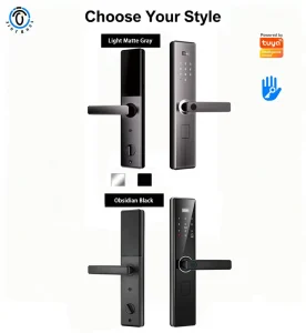 Outdoor Digital Fingerprint Biometric WiFi Cloud Security Smart Door Lock for Steel Glass Wood and Brass Doors with Memory Card