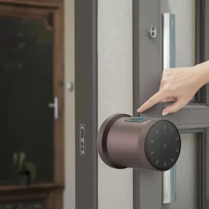 QX01 Digital Password Fingerprint Round Knob Smart Door Lock for Wood Doors with Stainless Steel Grade C Security Card and Key