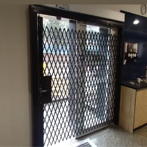 Retractable Expandable Folding Security Gate with Iron and Aluminum Trellis Fence for Shop and Garden