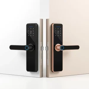 Smart Door Lock WiFi IC Biometric App Remote Control Keyless Digital Fingerprint Smart Door Lock